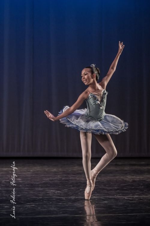 Fotografia de Luis Falcn - Galeria Fotografica: Teatro - Ballet - Foto: 