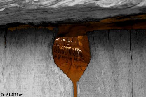 Fotografia de vagabu - Galeria Fotografica: Diversidad en B/N - Foto: 