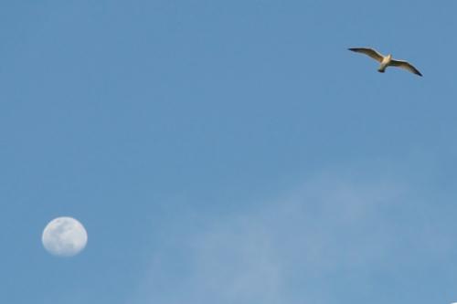 Fotografia de  - Galeria Fotografica: �Popurr�!. Part. II - Foto: 