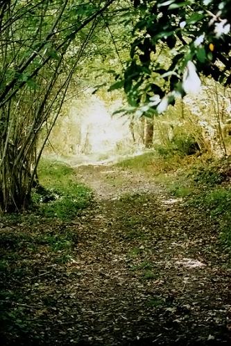 Fotografia de  - Galeria Fotografica: �Popurr�!. Part. II - Foto: 