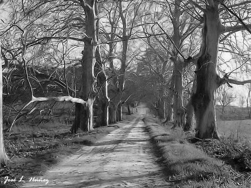 Fotografia de vagabu - Galeria Fotografica: Diversidad en B/N - Foto: Hacia algn lugar.