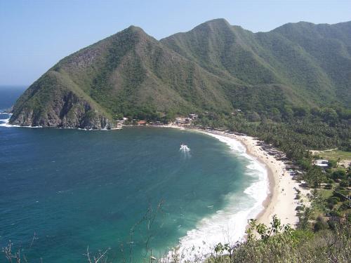 Fotografia de enrique - Galeria Fotografica: detodo - Foto: chuao venezuela