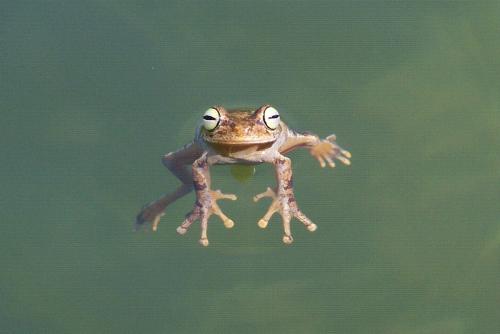 Fotografia de enrique - Galeria Fotografica: detodo - Foto: reto