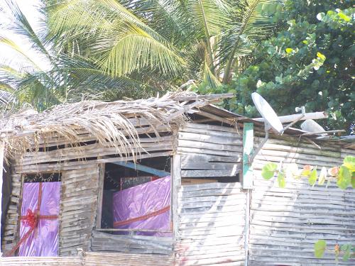 Fotografia de enrique - Galeria Fotografica: detodo - Foto: irona