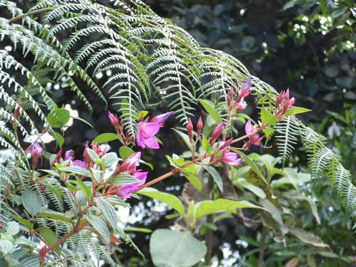 Fotografia de enrique - Galeria Fotografica: detodo - Foto: 