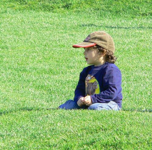 Fotografia de ArQa Estudio - Galeria Fotografica: In construction - Foto: Green