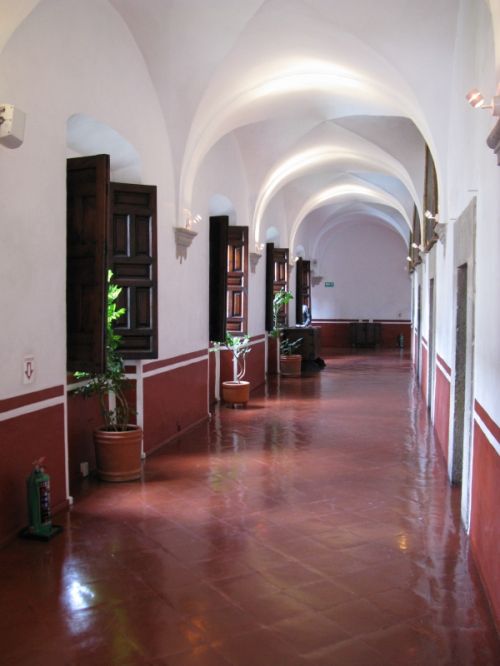 Fotografia de Fotografa Nueva - Galeria Fotografica: Mxico - Foto: 