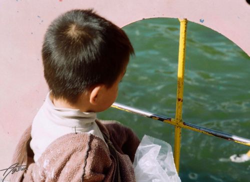 Fotografia de Yumiko - Galeria Fotografica: Nios - Foto: La comida de los patos