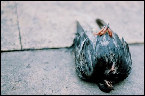 Fotografia de Andrea Gonzlez - Galeria Fotografica: Kilmetros - Foto: 