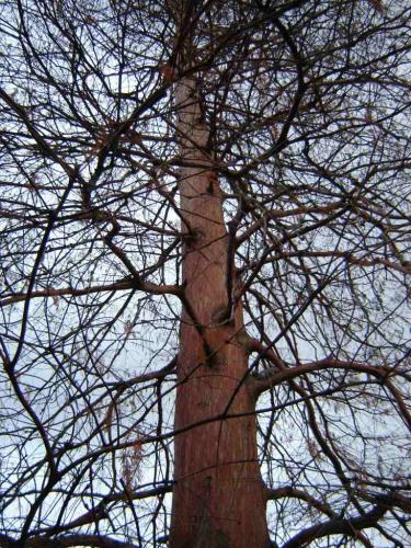 Fotografia de Creative Vision - Galeria Fotografica: De todo un poco - Foto: Desnudo otoal