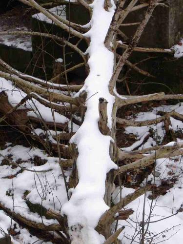 Fotografia de Creative Vision - Galeria Fotografica: De todo un Poco 2 - Foto: Desnudo invernal