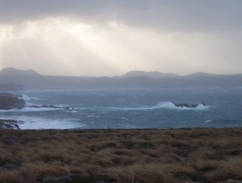 Fotografia de Nolo - Galeria Fotografica: Naturaleza - Foto: Living nature