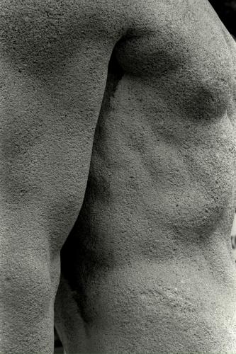 Fotografia de Global Photography - Galeria Fotografica: Bodies - Foto: Torso