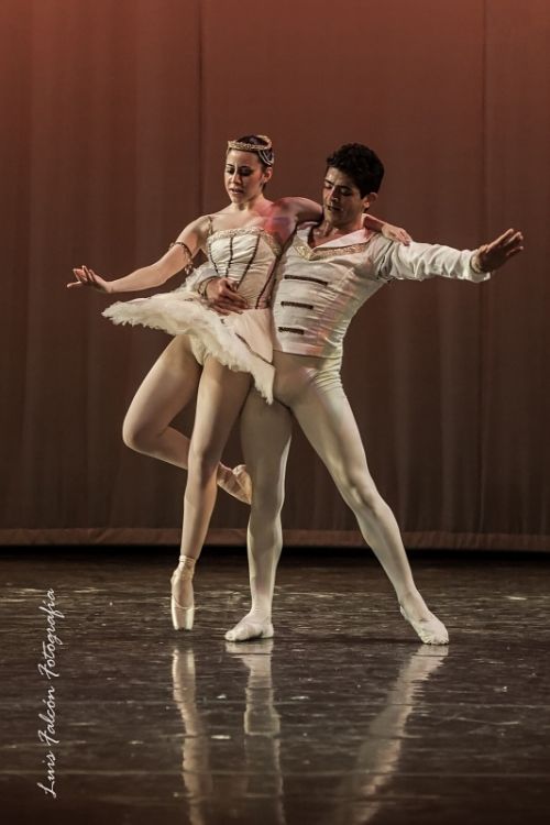 Fotografia de Luis Falcn - Galeria Fotografica: Teatro - Danza Clsica - Foto: 
