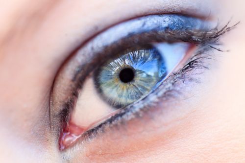 Fotografia de Belu Donnian - Galeria Fotografica: Fotos - Foto: 