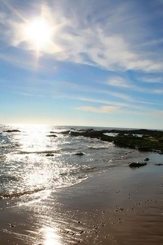 Fotografia de  - Galeria Fotografica: �Popurr�!. Part. III - Foto: 