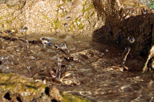 Fotografia de  - Galeria Fotografica: �Popurr�!. Part. III - Foto: 