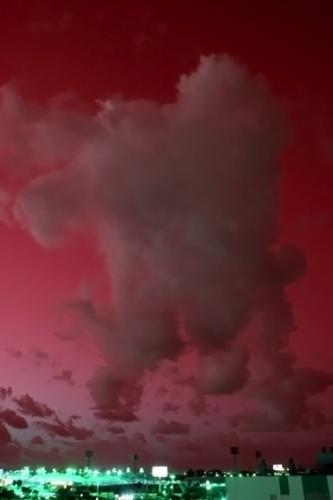 Fotografia de  - Galeria Fotografica: �Quir�fano! - Foto: 