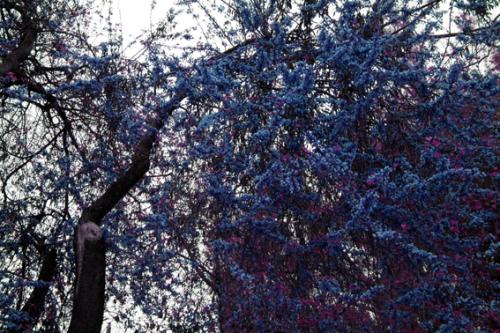 Fotografia de  - Galeria Fotografica: �Quir�fano! - Foto: 