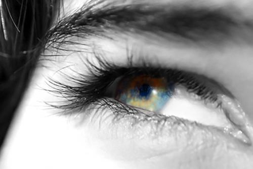 Fotografia de  - Galeria Fotografica: �Quir�fano! - Foto: 