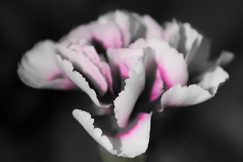 Fotografia de  - Galeria Fotografica: �Quir�fano!. Part. II - Foto: 