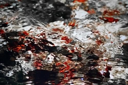 Fotografia de  - Galeria Fotografica: �Quir�fano!. Part. II - Foto: 