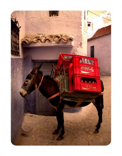 Fotografia de jonathan perez liedl - Galeria Fotografica: marruecos - Foto: marruecos