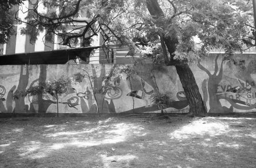 Fotografia de Devotchka - Galeria Fotografica: Paisajes y ms - Foto: Parque Lezama, San Telmo - Buenos Aires