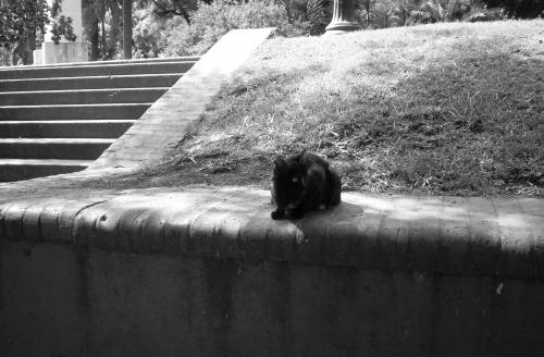 Fotografia de Devotchka - Galeria Fotografica: Paisajes y ms - Foto: Parque Lezama, San Telmo - Buenos Aires