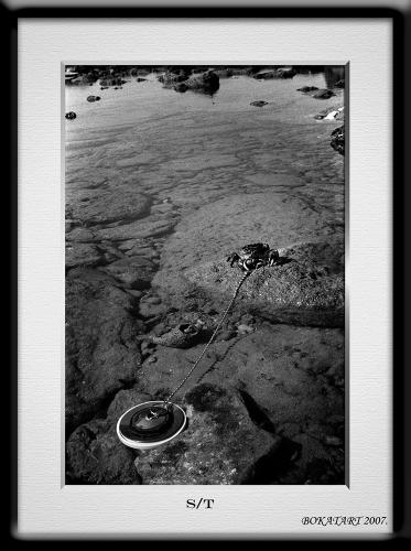 Fotografia de Bokata - Galeria Fotografica: Fotos necesarias - Foto: cangrejo.