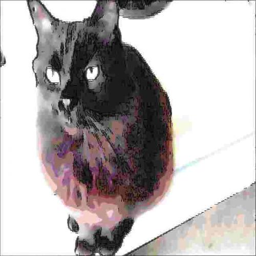 Fotografia de Ricardo G. Silveira - Galeria Fotografica: Arte Digital - Foto: Gato