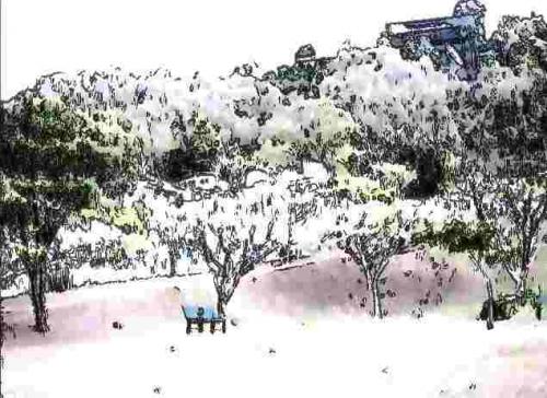 Fotografia de Ricardo G. Silveira - Galeria Fotografica: Arte Digital - Foto: Parque