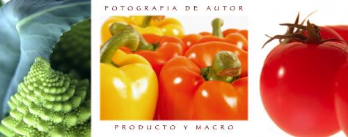 Fotografia de DAVID FREELAND - Galeria Fotografica: DOSSIER - Foto: 