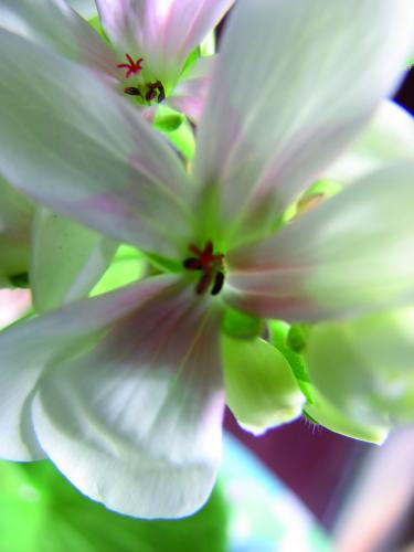 Fotografia de joseluisjosees - Galeria Fotografica: Primeras fotos - Foto: 