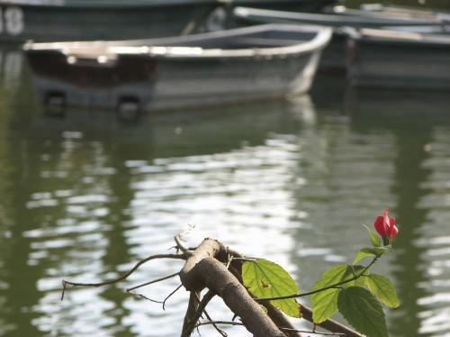 Fotografia de joseluisjosees - Galeria Fotografica: Primeras fotos - Foto: 