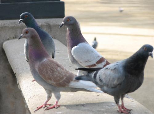 Fotografia de joseluisjosees - Galeria Fotografica: Primeras fotos - Foto: 