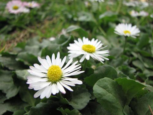 Fotografia de joseluisjosees - Galeria Fotografica: Primeras fotos - Foto: 