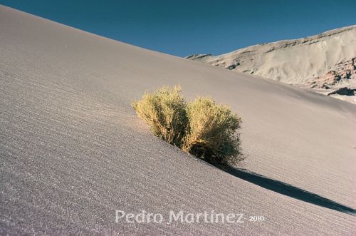 Fotografia de Pedro M. Martnez - Galeria Fotografica: Con sal de plata - Foto: Valle de la Luna