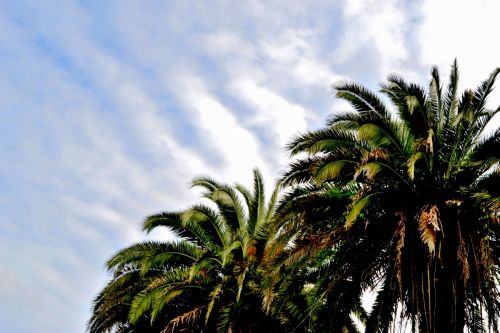 Fotografia de Freeride Men - Galeria Fotografica: Natura - Foto: Caribean