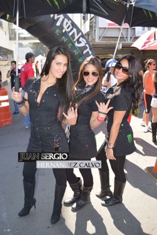 Fotografia de Hans Models Mexico - Galeria Fotografica: Fotografias de eventos - Foto: 