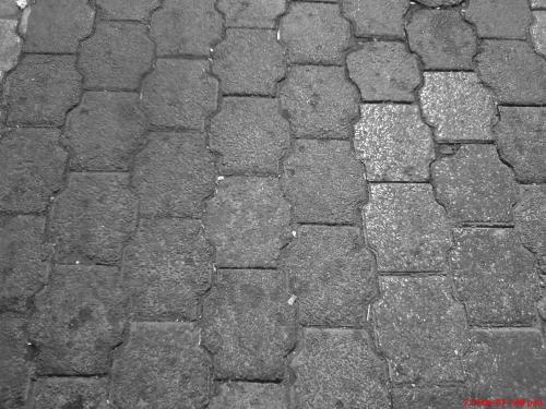 Fotografia de Ruben Abraham - Galeria Fotografica: Calle - Foto: piso8