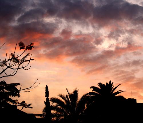 Fotografia de Alex - Galeria Fotografica: Atardecer - Foto: Atardecer en Barcelona