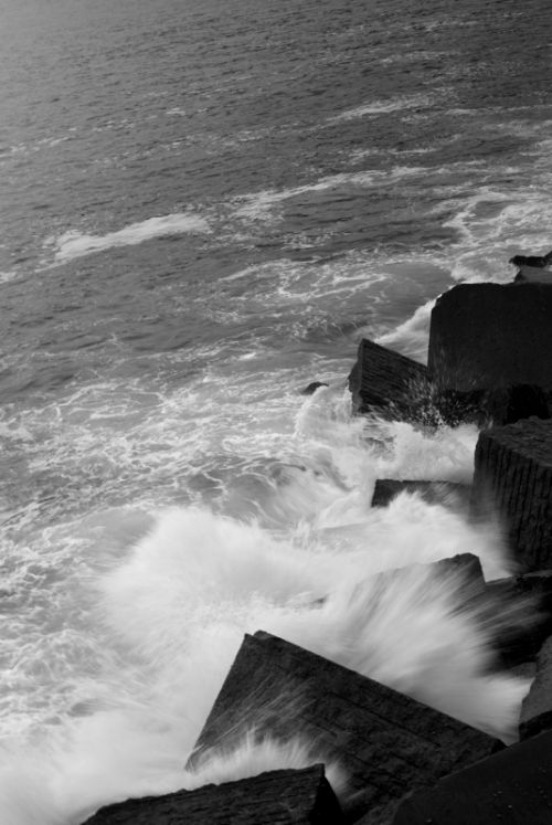 Fotografia de i. bereciartu - Galeria Fotografica: serie 