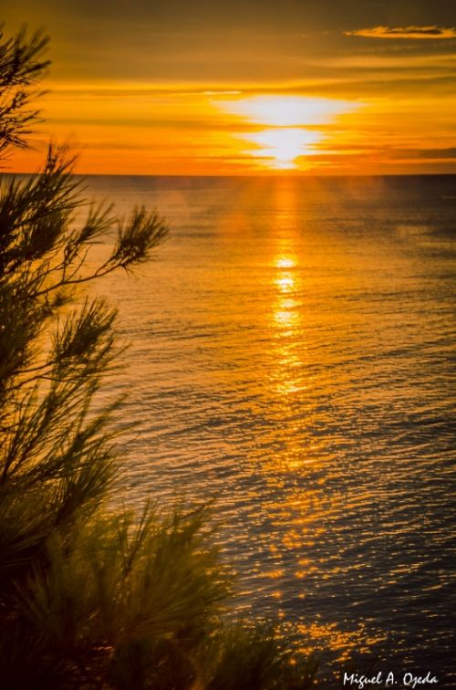 Fotografia de Miguel - Galeria Fotografica: La Mar - Foto: amanecer5