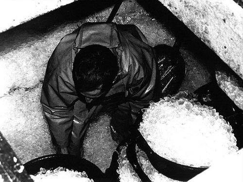 Fotografia de Yago Lavandeira - Galeria Fotografica: Pesca - Foto: 