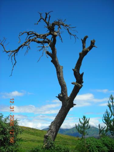Fotografia de ANSA - Galeria Fotografica: COTOPAXI - Foto: EL AHORCADO