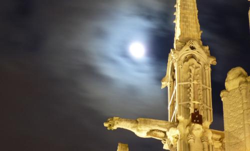 Fotografia de enzo - Galeria Fotografica: paris de nuit - Foto: notre-dame y su nuit