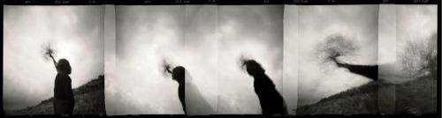 Fotografia de eugenia ortiz - Galeria Fotografica: eugenia ortiz - Foto: 