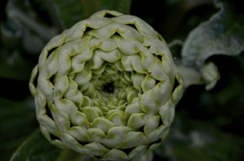 Fotografia de muletas - Galeria Fotografica: Naciendo - Foto: Guia