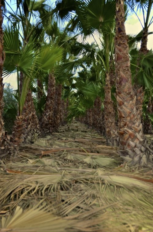 Fotografia de muletas - Galeria Fotografica: Naciendo - Foto: Pasillo